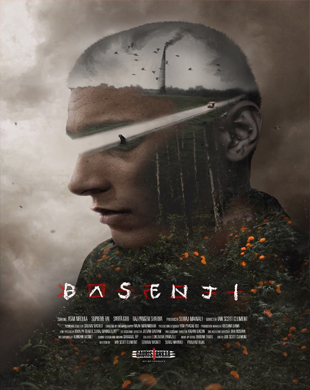 poster-img
